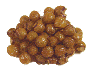 soapnut fruit
